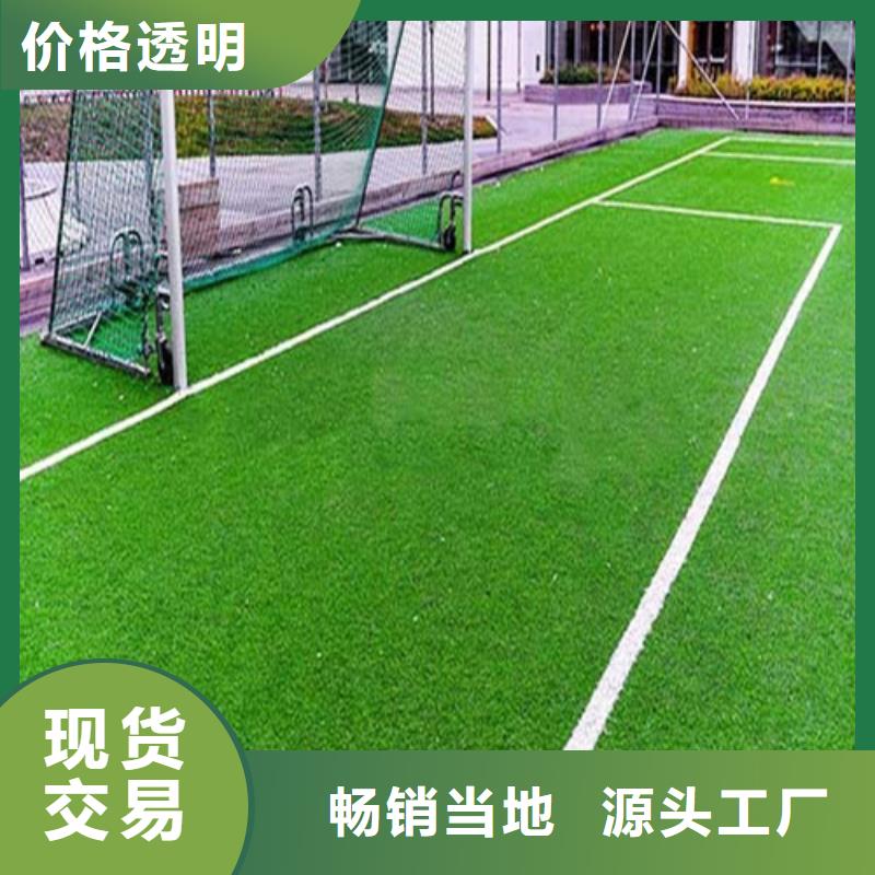 湘阴围挡草坪在线咨询
