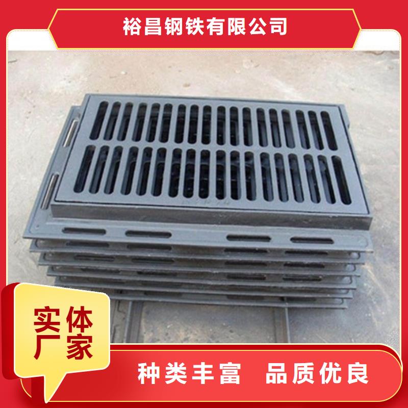 300*500*22*6kg球墨铸铁单篦子-热销