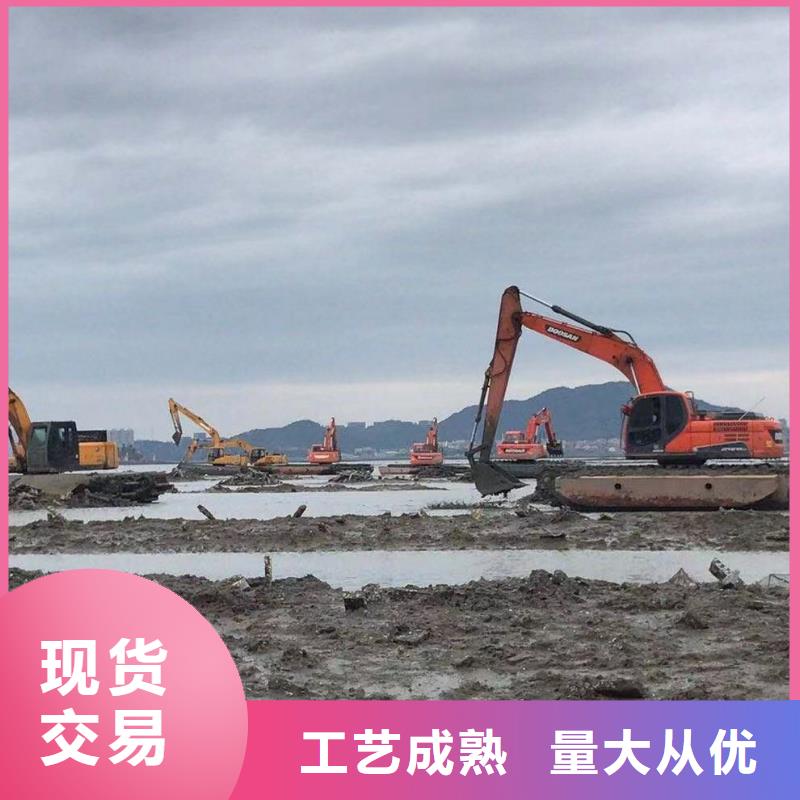 沼泽地挖掘机10年品质_可信赖