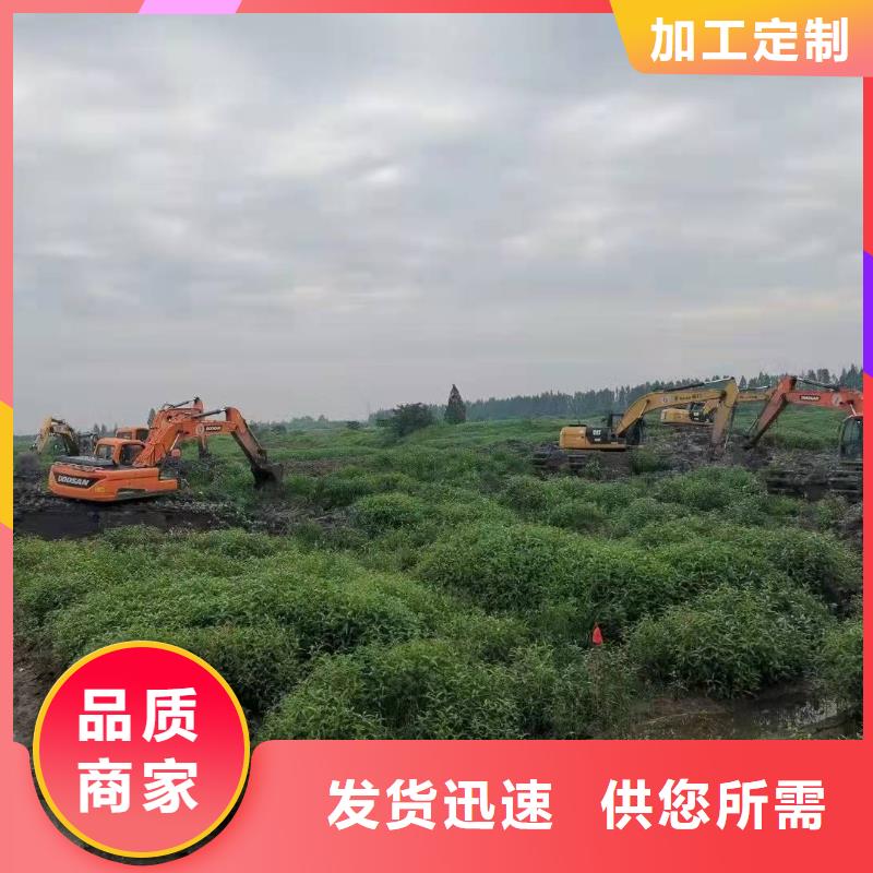规格齐全的沼泽地治理挖掘机经销商