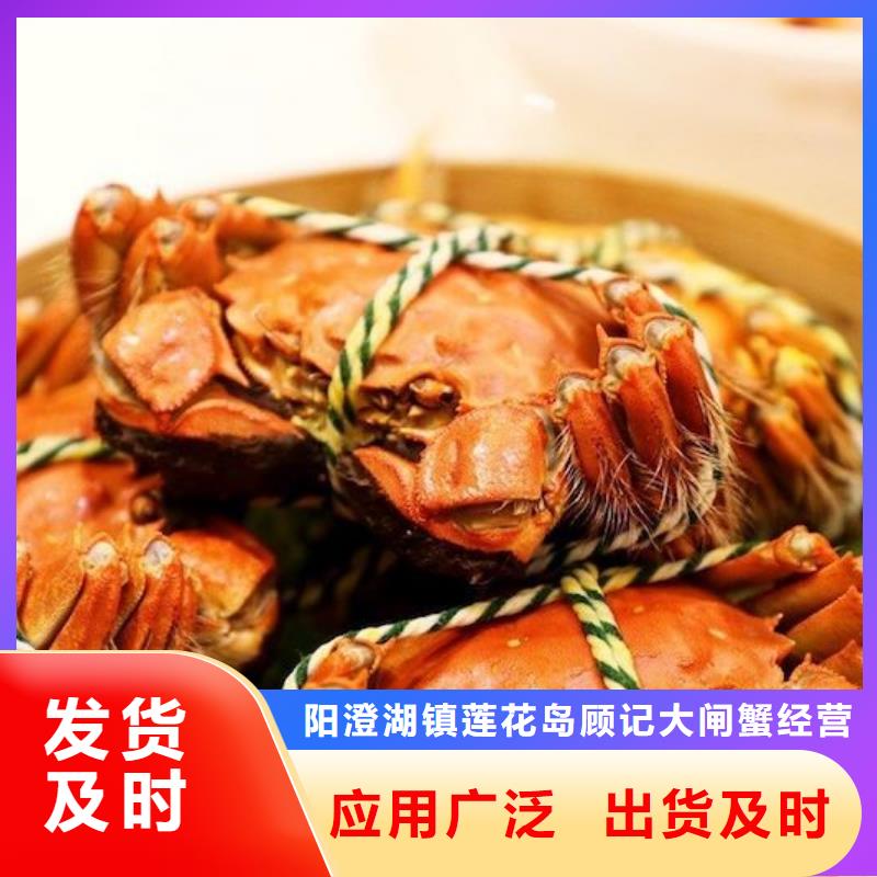 琼结县阳澄湖大闸蟹旗舰店