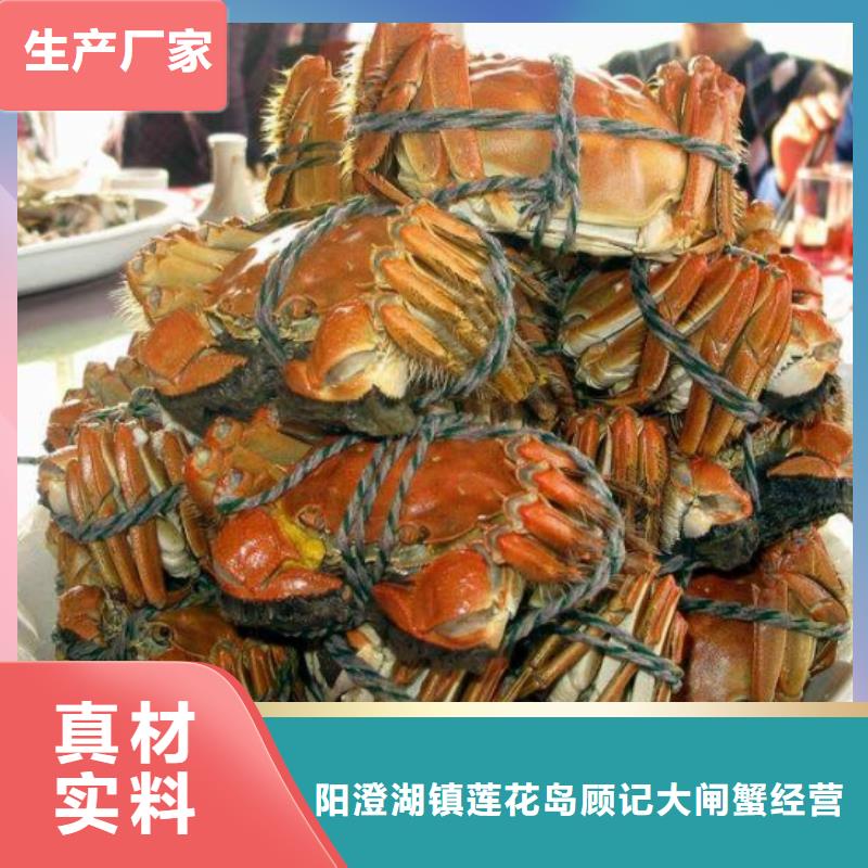 大闸蟹企业-价格优惠