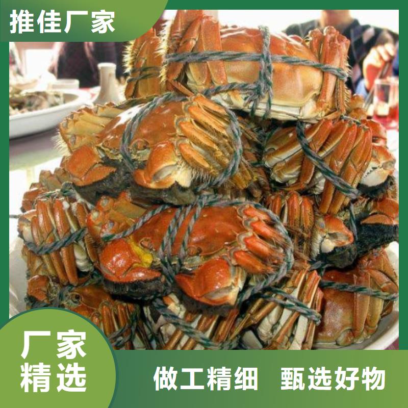 仁寿阳澄湖大闸蟹行情