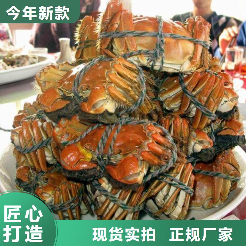 琼结县阳澄湖大闸蟹旗舰店