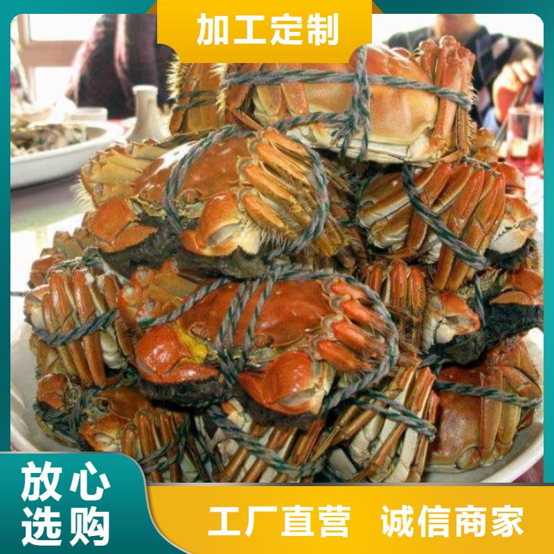 南明阳澄湖大闸蟹订购