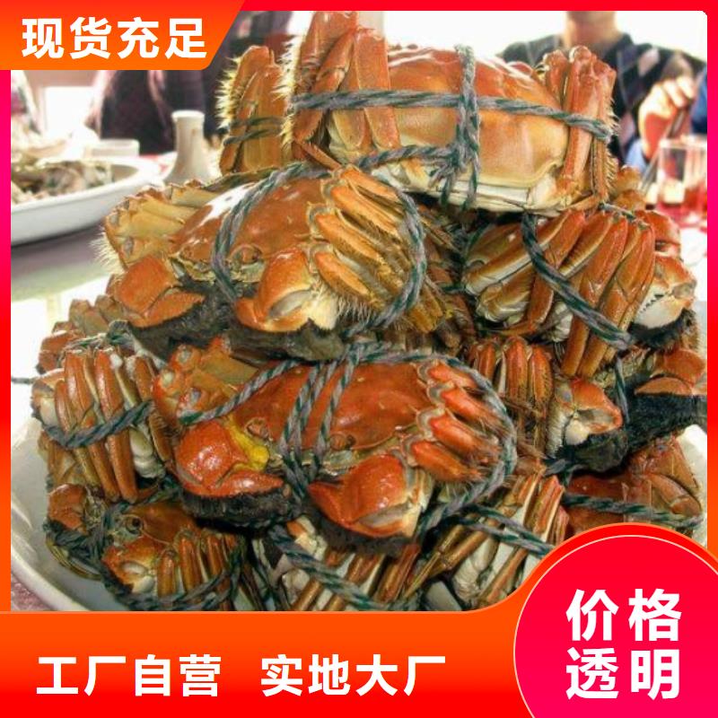 阳澄湖大闸蟹-阳澄湖大闸蟹欢迎选购