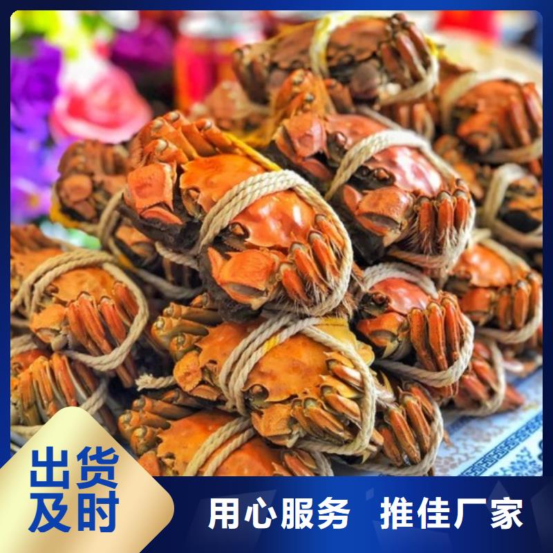 阳澄湖吃大闸蟹哪里好