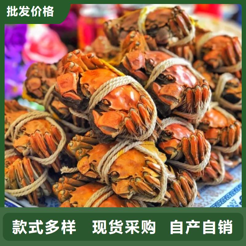 平江阳澄湖大闸蟹超大鲜活