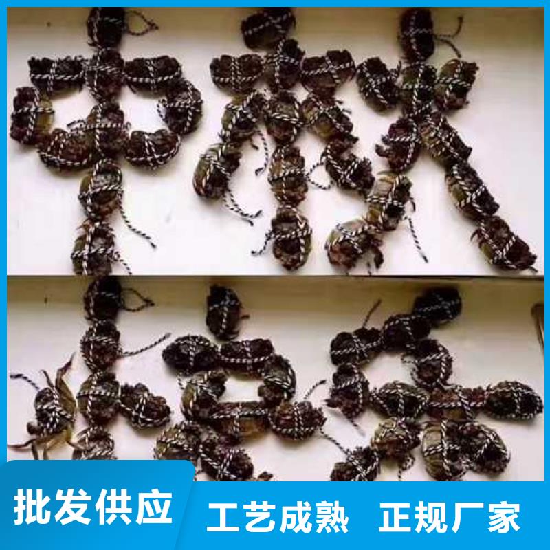 琼结县阳澄湖大闸蟹旗舰店