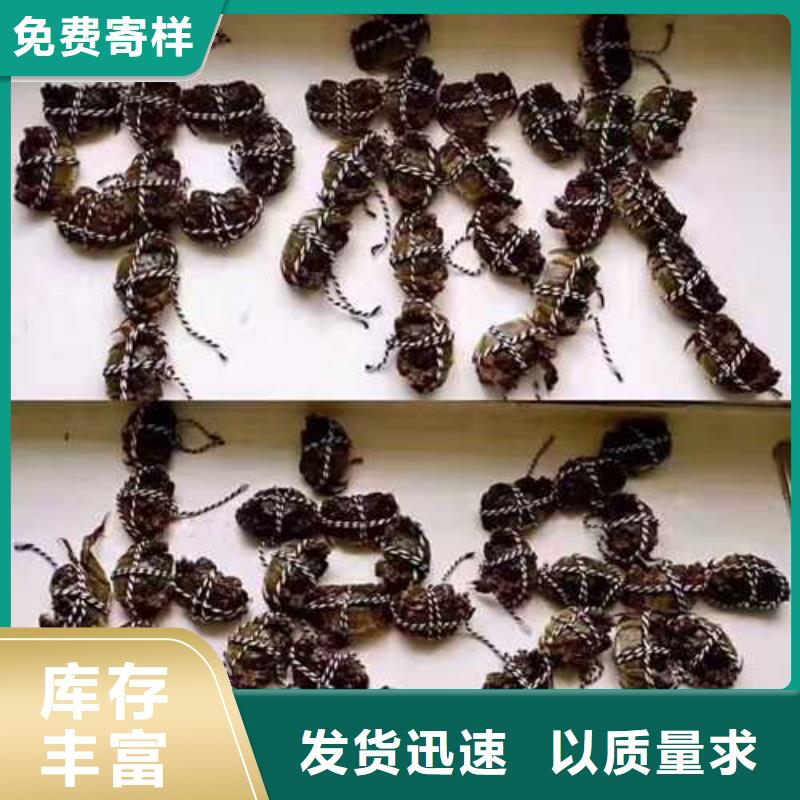 桃江阳澄湖大闸蟹放心选购