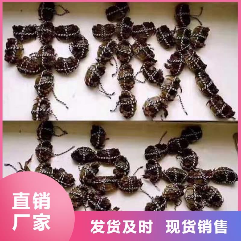 阳澄湖农家乐
