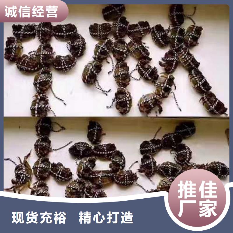 阳澄湖农家乐