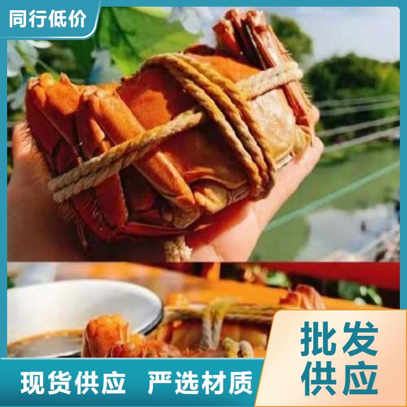 阳澄湖莲花岛