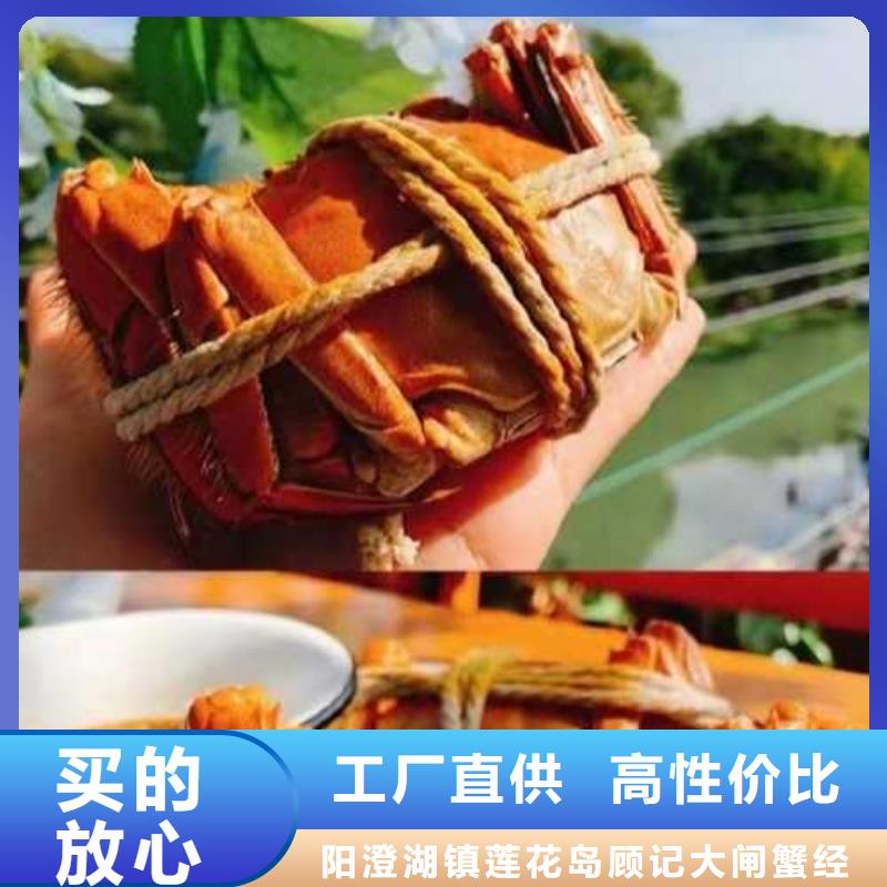 宁武县阳澄湖大闸蟹批发