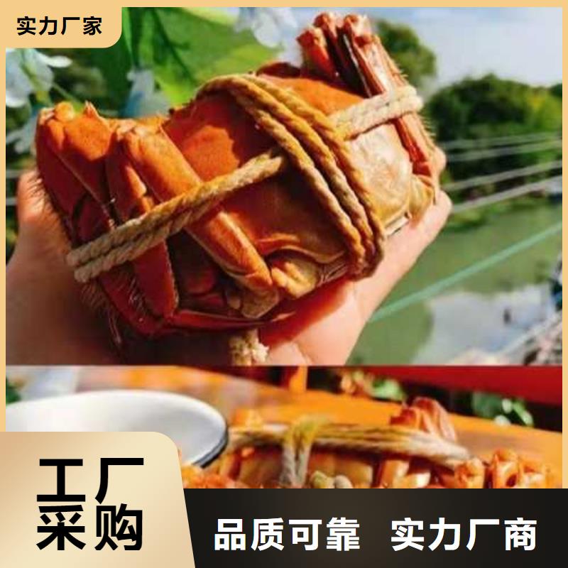 南明阳澄湖大闸蟹订购