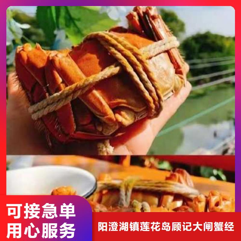 永仁阳澄湖大闸蟹高端品质