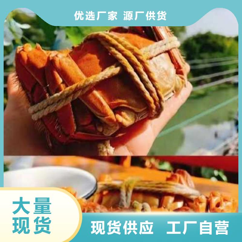 贡井阳澄湖大闸蟹订购