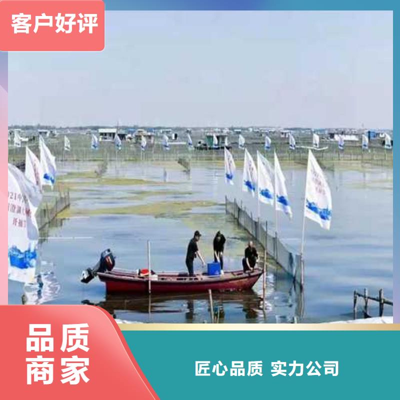 做阳澄湖大闸蟹的厂家