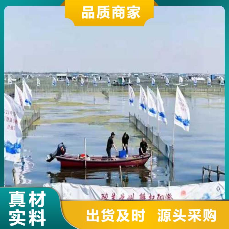 汨罗阳澄湖大闸蟹奢华美味