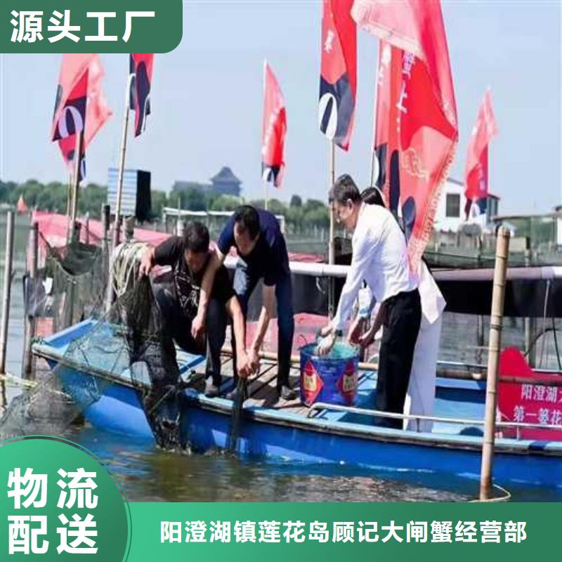 临湘阳澄湖大闸蟹超大鲜活
