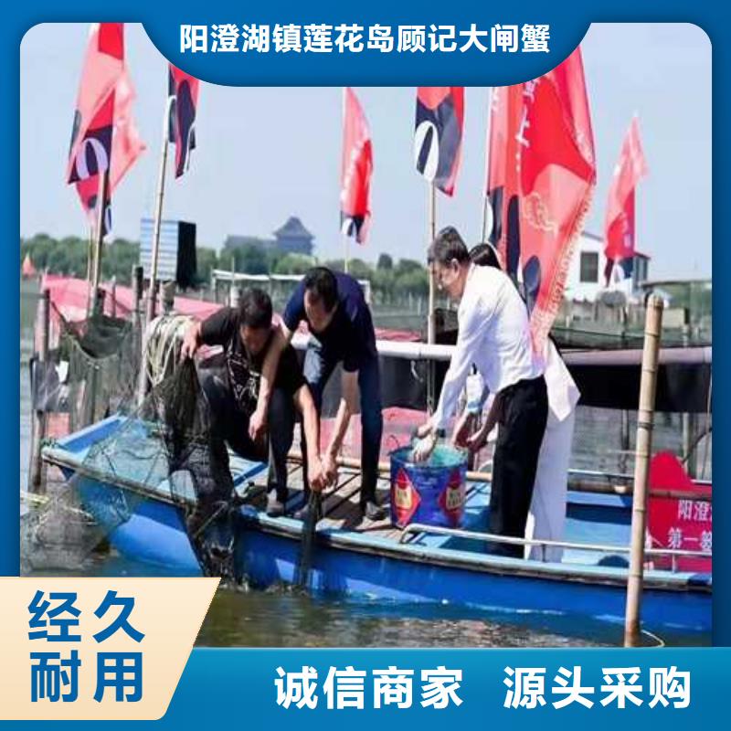 长乐是阳澄湖大闸蟹经销商