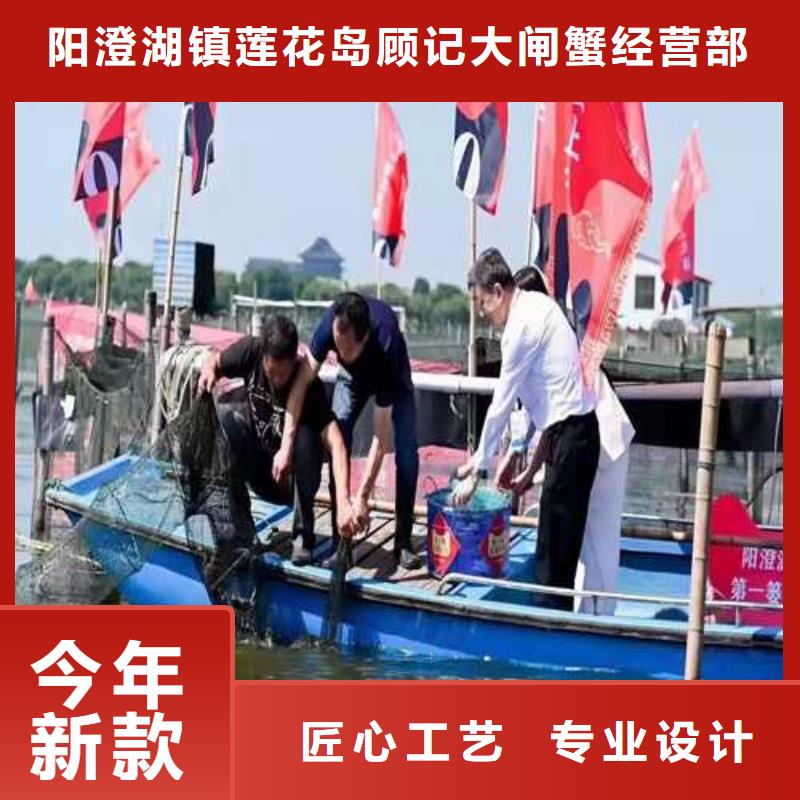北仓阳澄湖大闸蟹膏肥肉美
