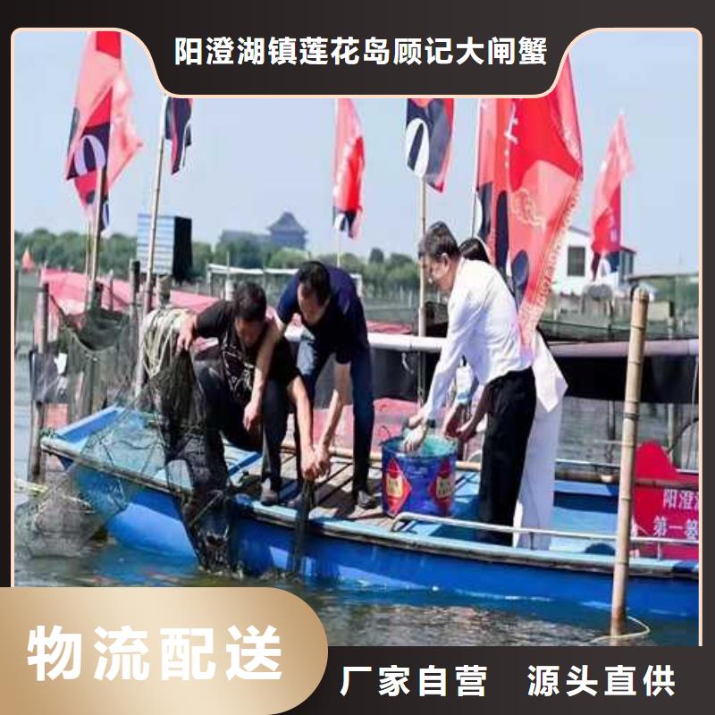 阆中阳澄湖大闸蟹快递到家