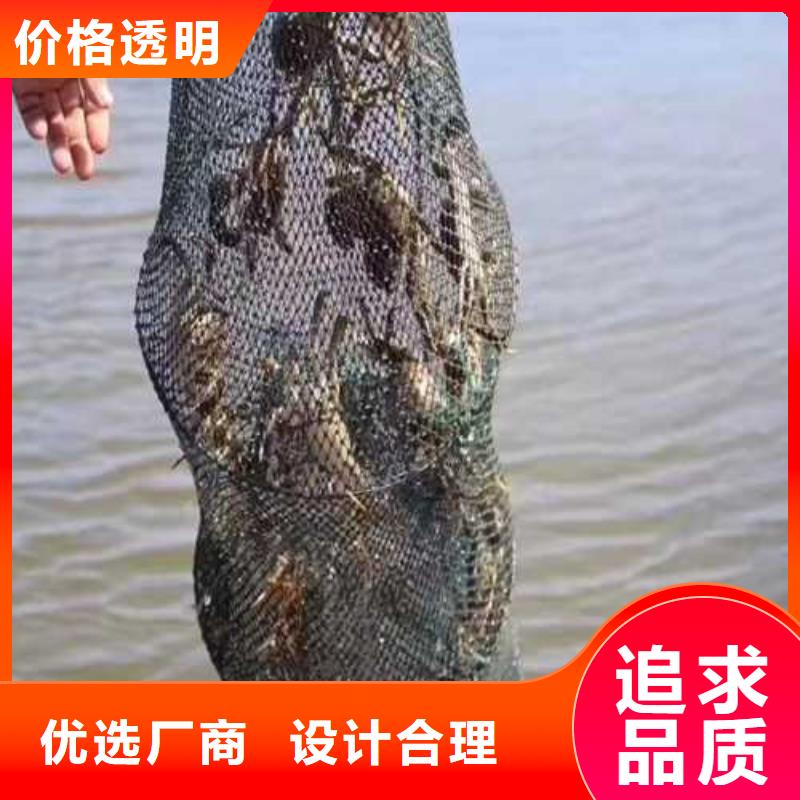 阳澄湖大闸蟹大礼盒