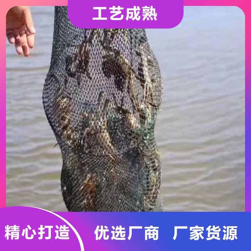 三原阳澄湖大闸蟹商超供货商