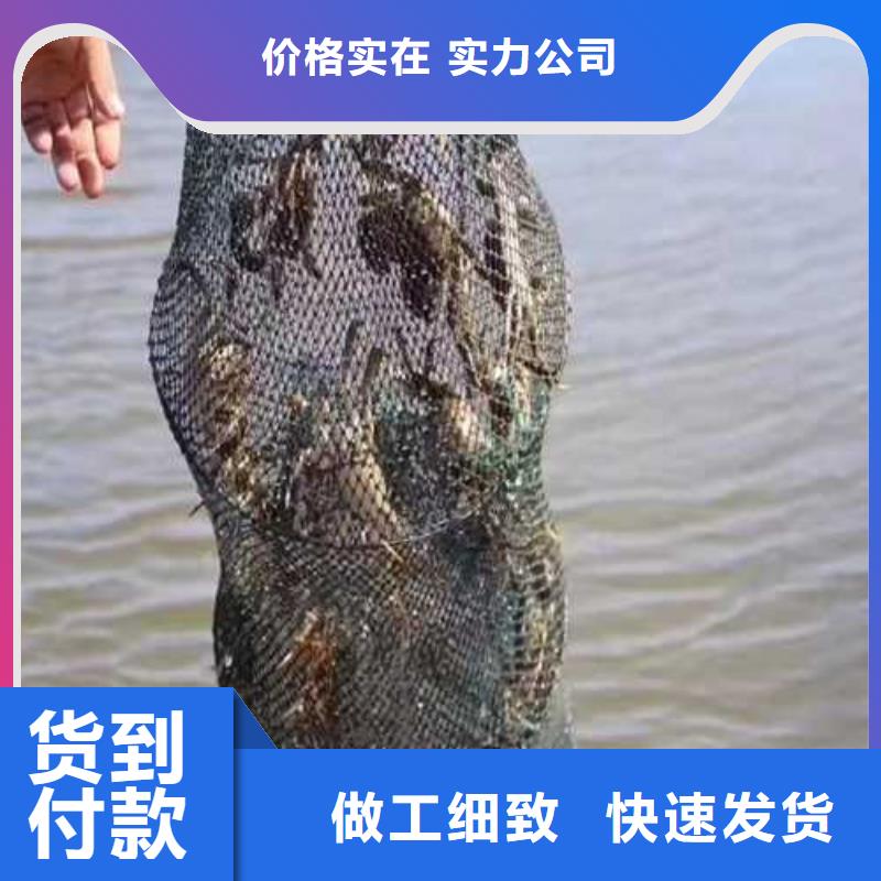 阳澄湖大闸蟹快递到家