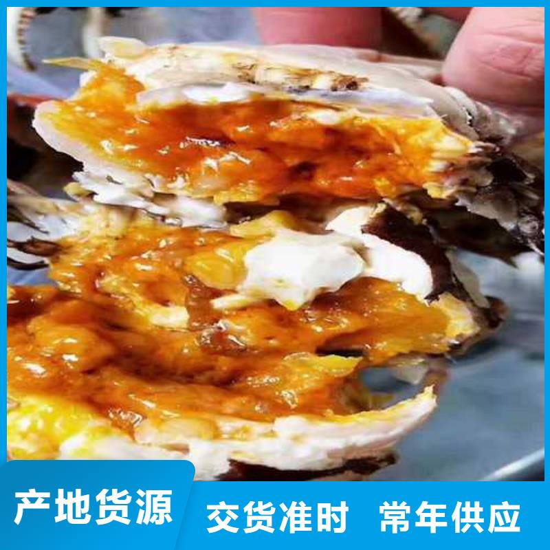 筠连阳澄湖大闸蟹订购