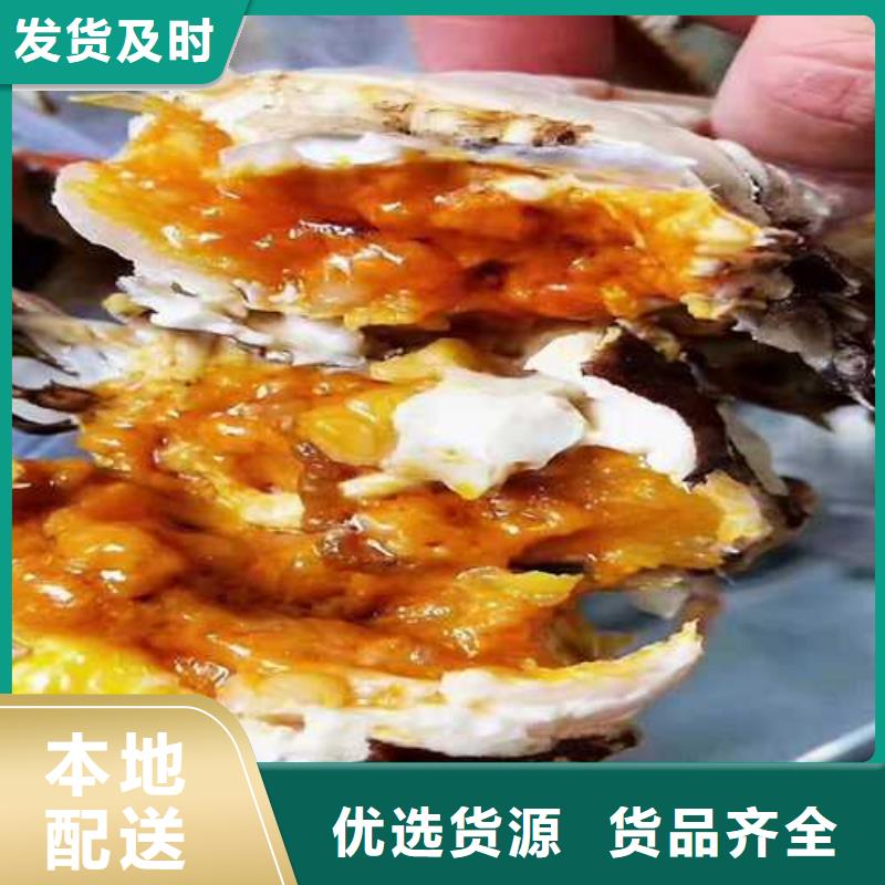 广昌阳澄湖大闸蟹精选美味