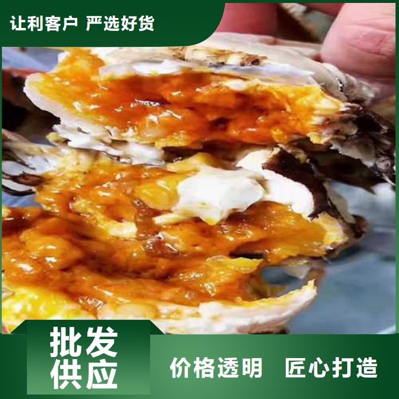 盐源阳澄湖大闸蟹超大鲜活