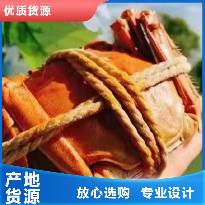 永仁阳澄湖大闸蟹高端品质
