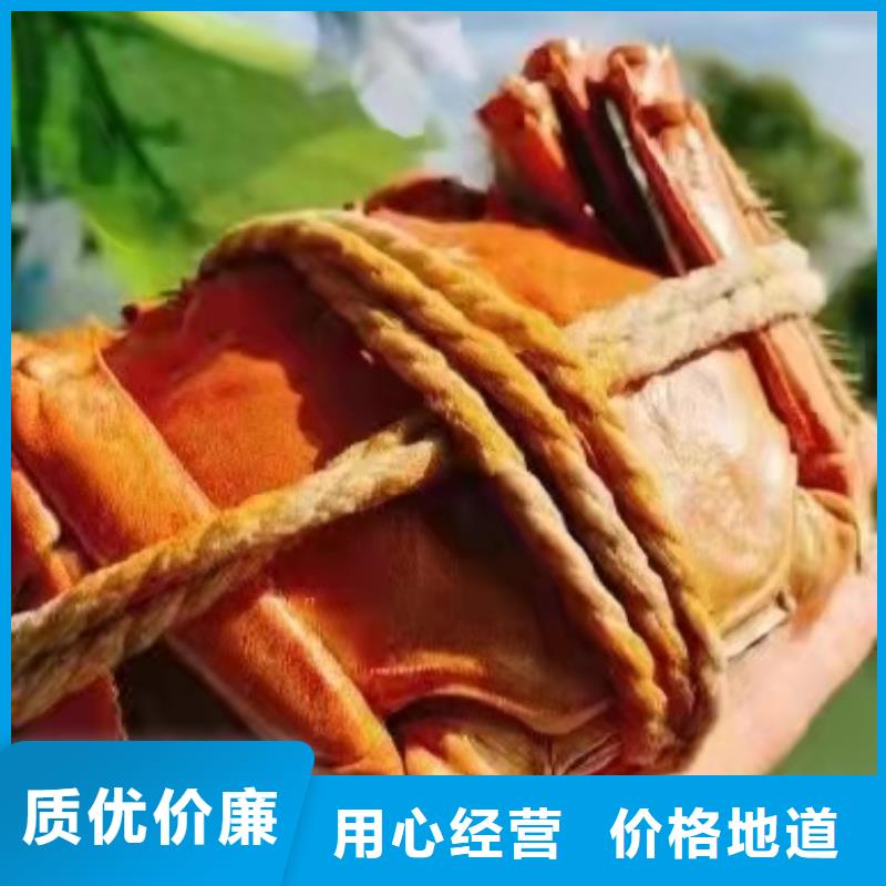 阳澄湖吃蟹哪家正宗苏州莲花岛顾记蟹庄
