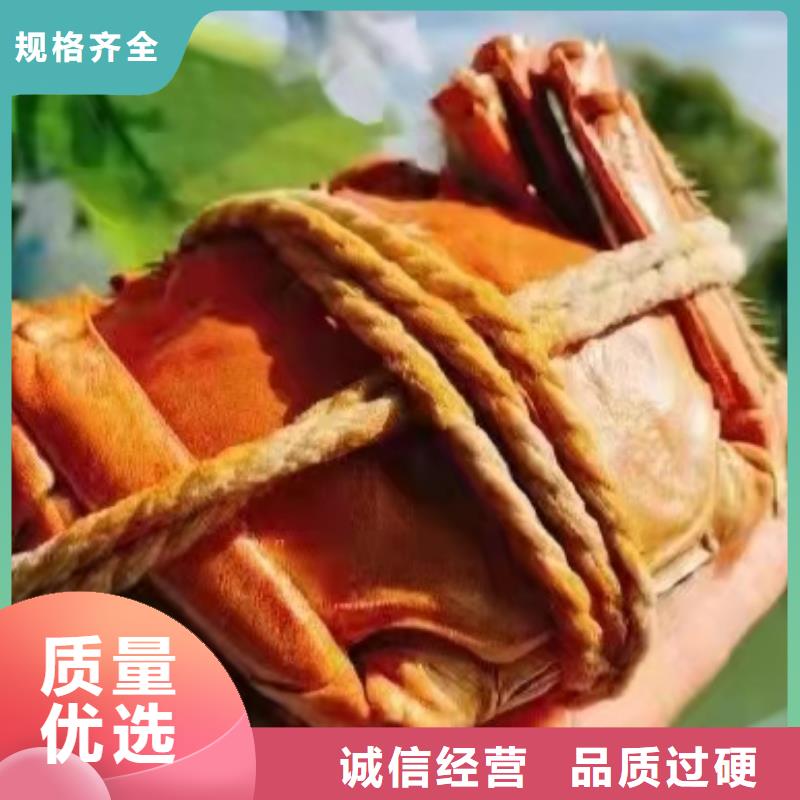 阳澄湖大闸蟹价格