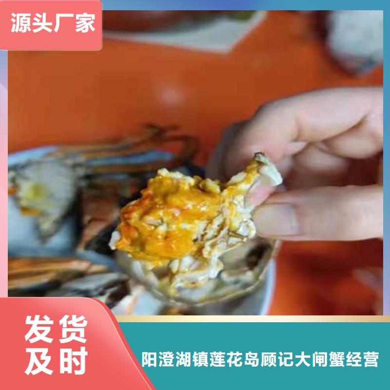 海陵阳澄湖大闸蟹商超供货商