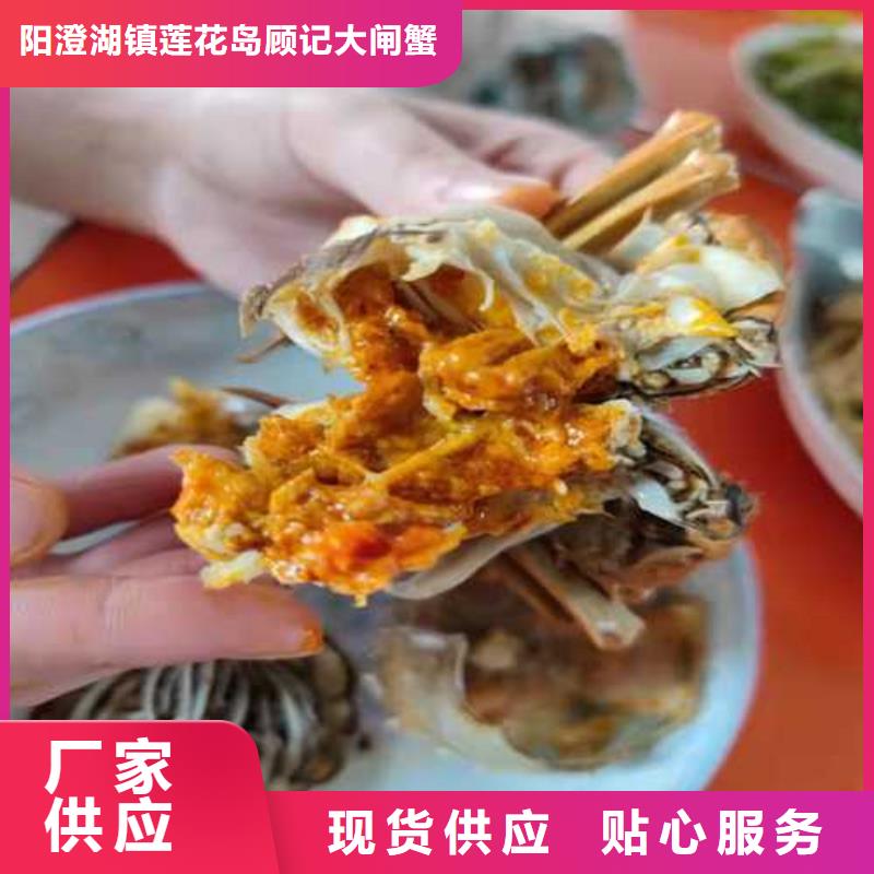 襄汾阳澄湖大闸蟹奢华美味