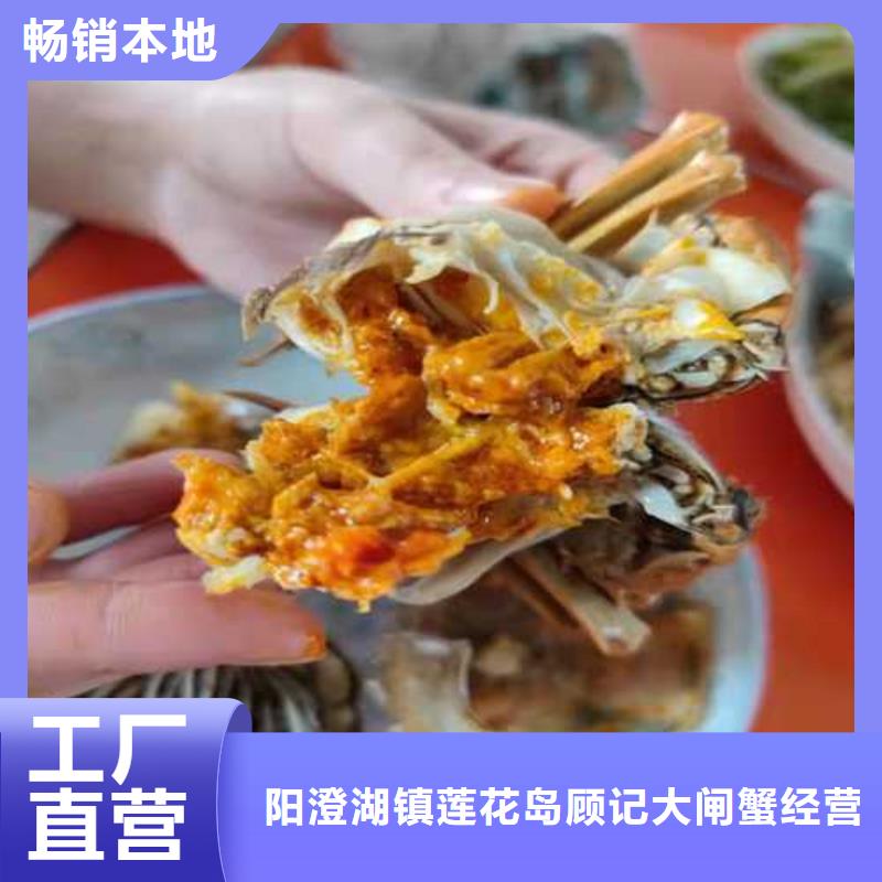 阳澄湖大闸蟹养殖基地