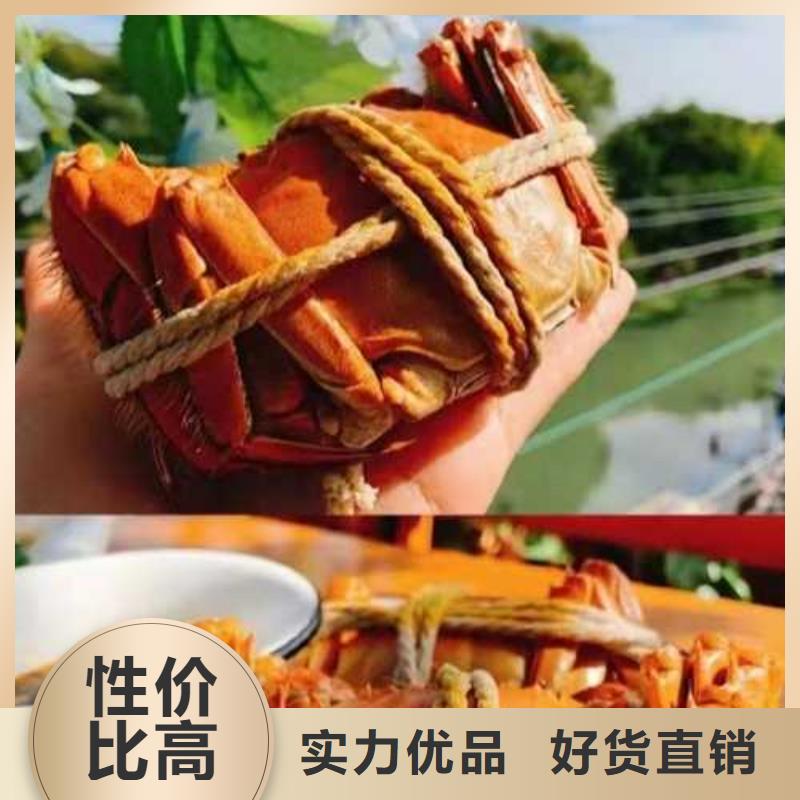 广灵阳澄湖大闸蟹敢为天下鲜
