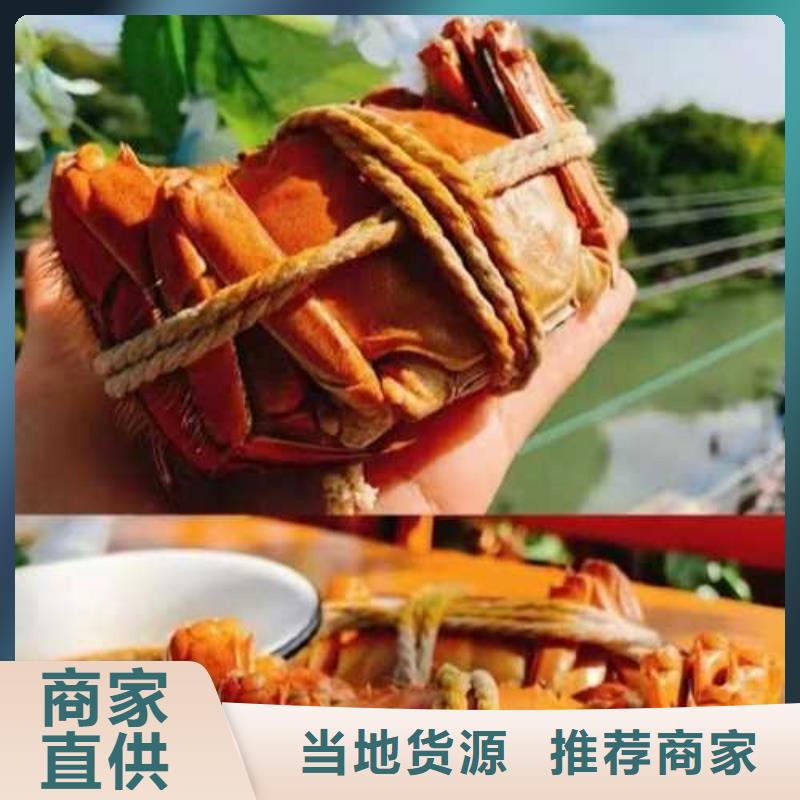 闽清阳澄湖大闸蟹养殖基地