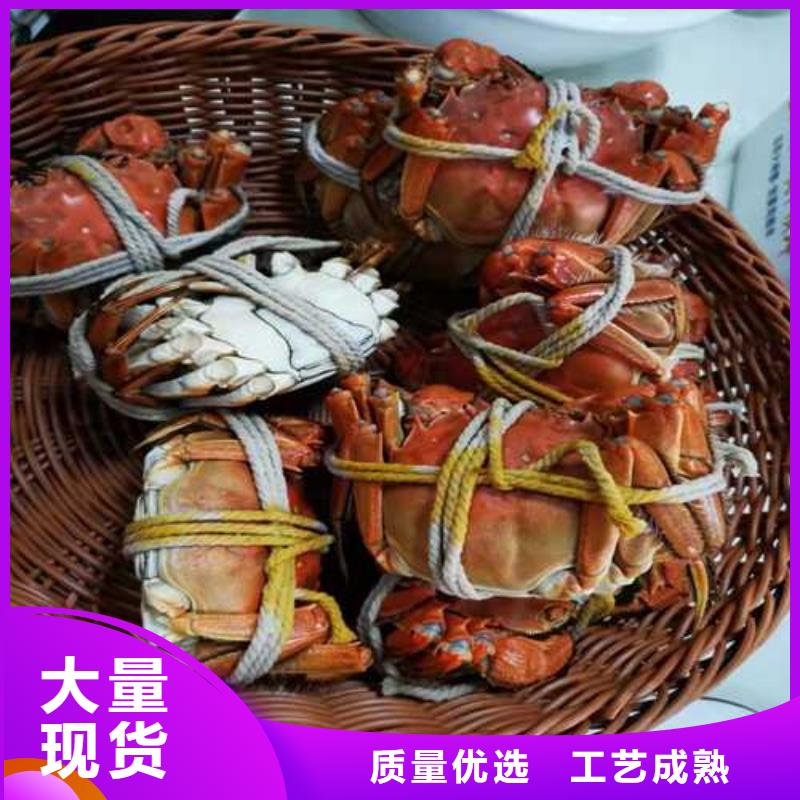 金乡阳澄湖大闸蟹超大鲜活