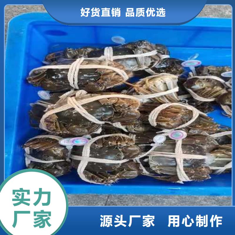 三原阳澄湖大闸蟹商超供货商