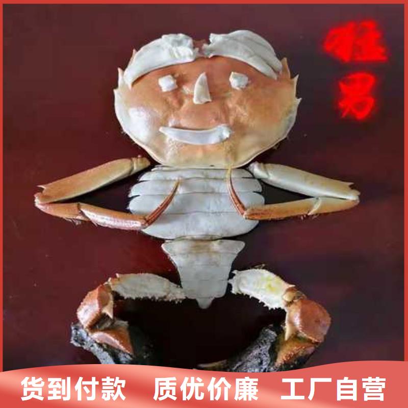 阳澄湖莲花岛