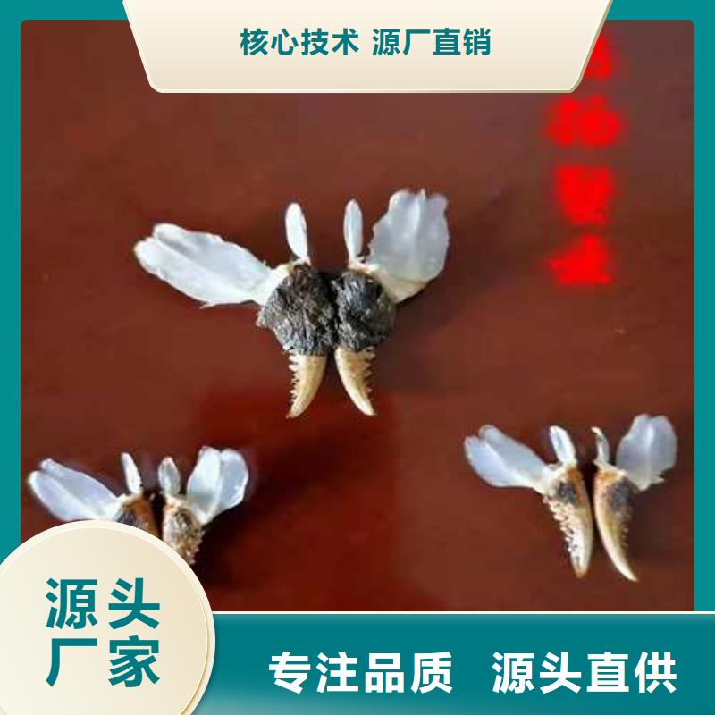 阳澄湖大闸蟹大礼盒