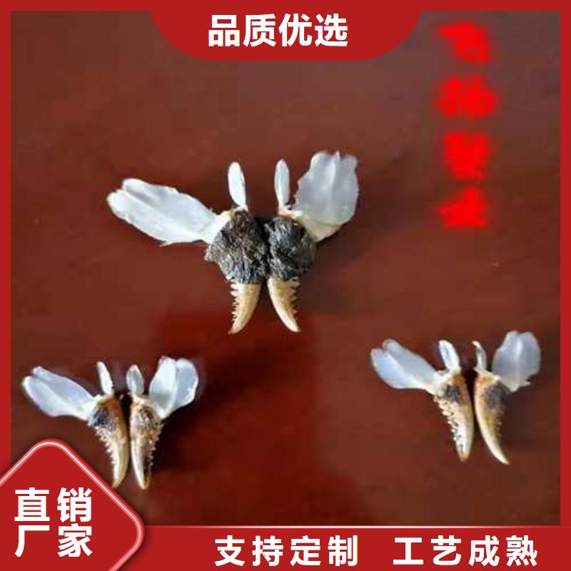 龙州阳澄湖大闸蟹高端品质