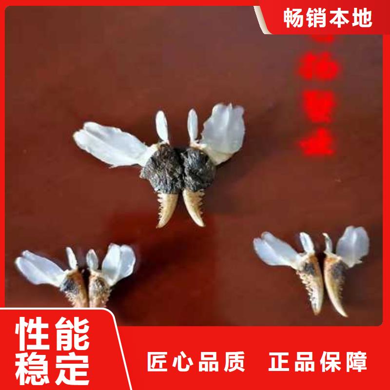 阳澄湖螃蟹