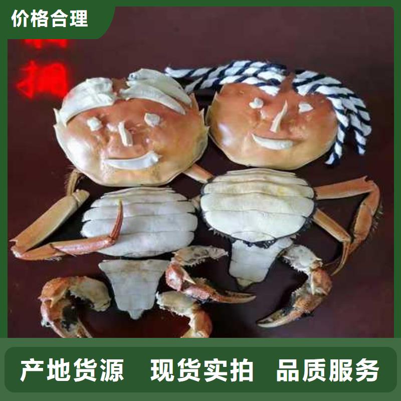 临湘阳澄湖大闸蟹超大鲜活