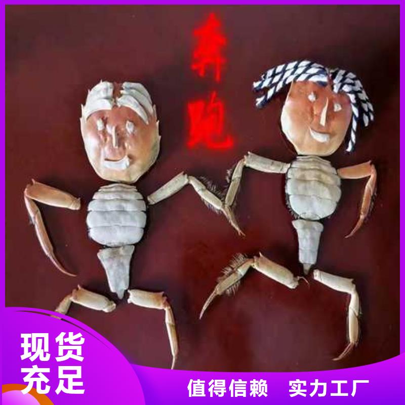 沙河口阳澄湖大闸蟹高端湖蟹