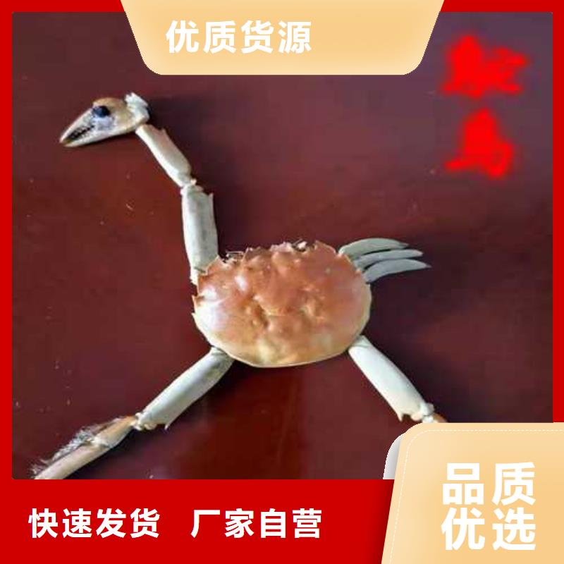 集安县阳澄湖大闸蟹网上买联系电话
